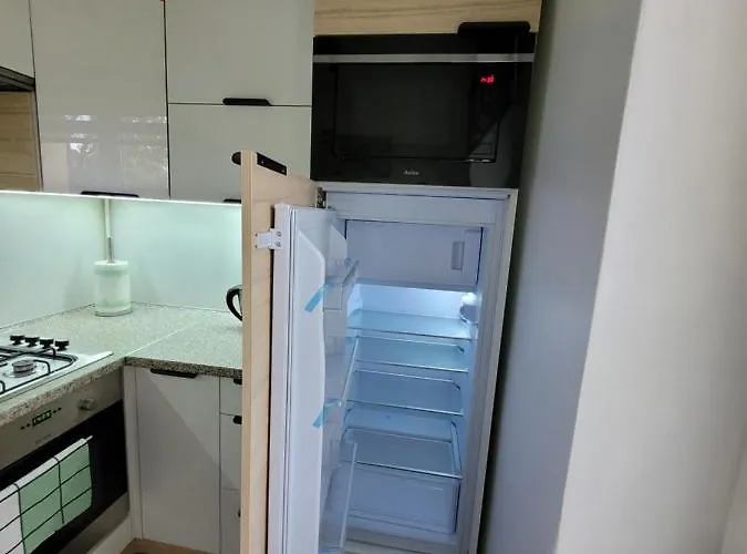 Grzybowska, Rokitnica * Zabrze