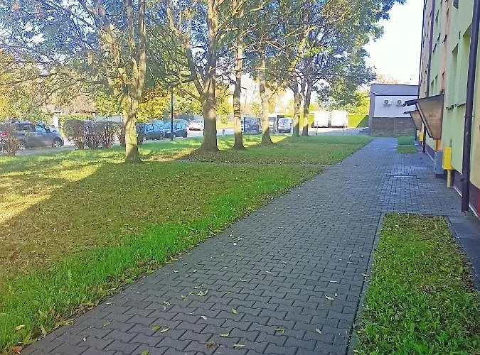 Daire Grzybowska, Rokitnica *